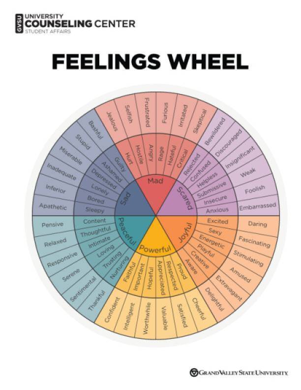 Feeling Wheel